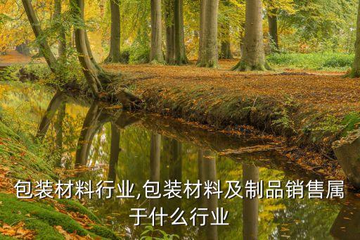 上海包装材料行业,包装材料及制品销售属于什么行业