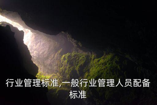 皮革行业管理标准,一般行业管理人员配备标准