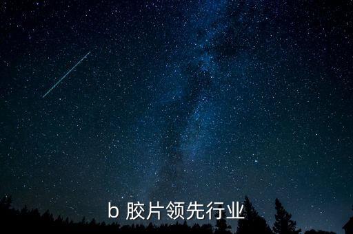 pvb 胶片领先行业