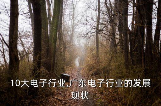 广东10大电子行业,广东电子行业的发展现状