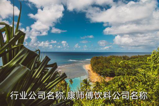 饮料行业公司名称,康师傅饮料公司名称