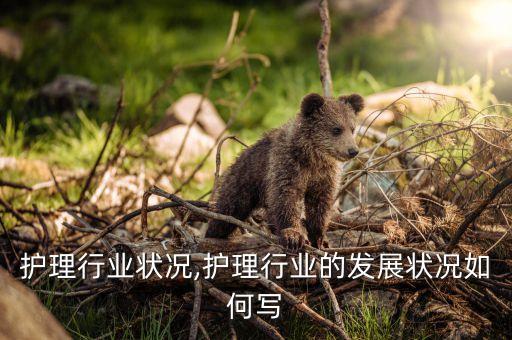 近年护理行业状况,护理行业的发展状况如何写