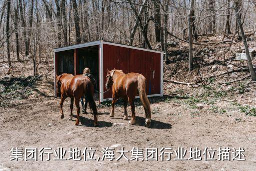 华阳集团行业地位,海大集团行业地位描述