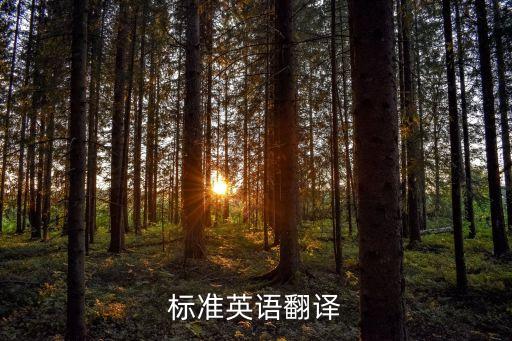 行业标准英语翻译