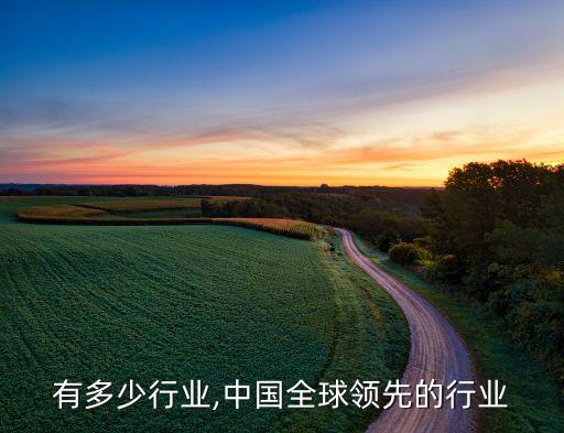 全球有多少行业,中国全球领先的行业