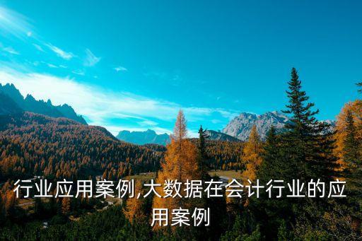 华录行业应用案例,大数据在会计行业的应用案例
