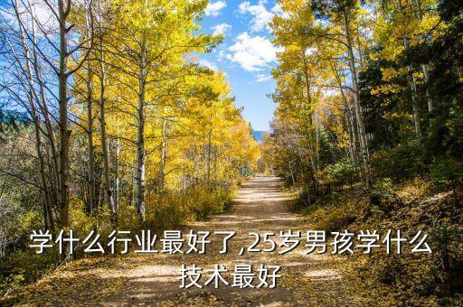 男孩学什么行业最好了,25岁男孩学什么技术最好