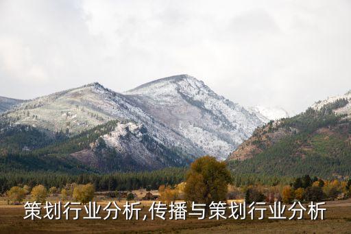 婚庆策划行业分析,传播与策划行业分析
