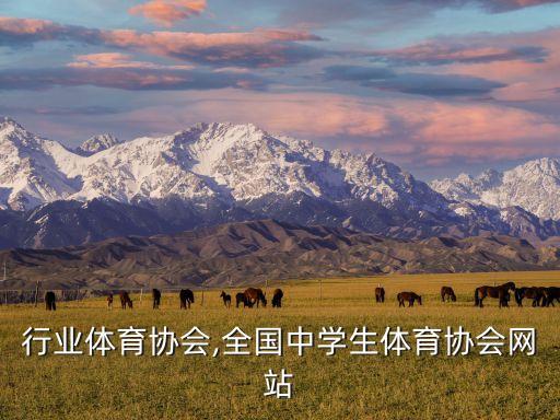 全国行业体育协会,全国中学生体育协会网站
