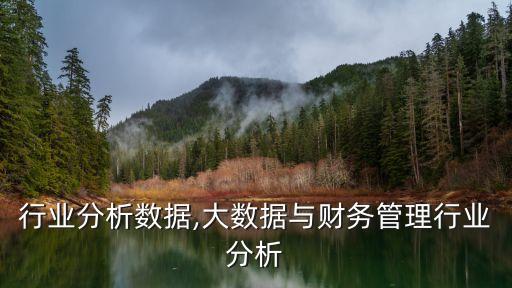 市场行业分析数据,大数据与财务管理行业分析