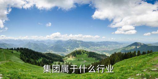 红豆集团属于什么行业