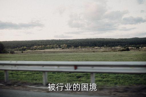 蚕丝被行业的困境
