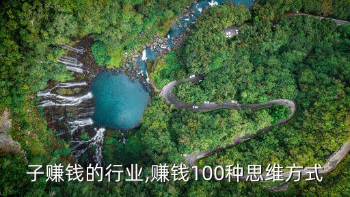 靠脑子赚钱的行业,赚钱100种思维方式
