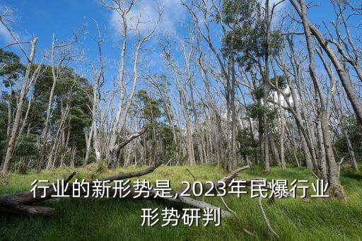 民爆行业的新形势是,2023年民爆行业形势研判