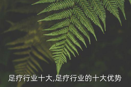 中国足疗行业十大,足疗行业的十大优势