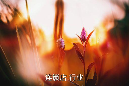 水果连锁店 行业