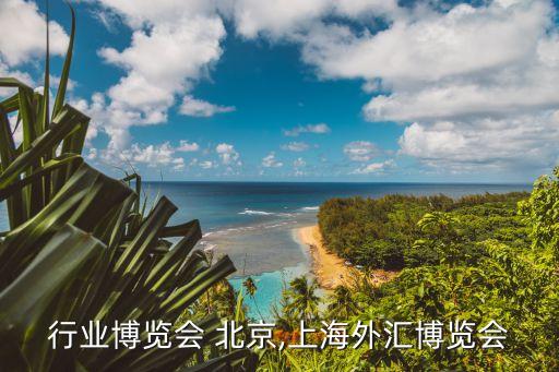 外汇行业博览会 北京,上海外汇博览会