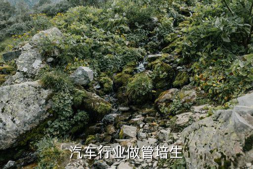 我在汽车行业做管培生