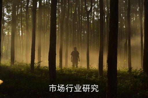 服装市场行业研究