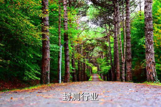 芯片封测行业