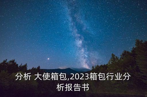 行业分析 大使箱包,2023箱包行业分析报告书