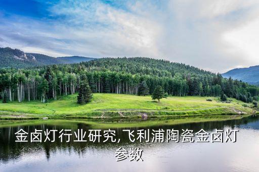 陶瓷金卤灯行业研究,飞利浦陶瓷金卤灯 参数
