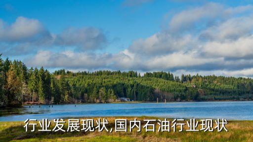 石油行业发展现状,国内石油行业现状