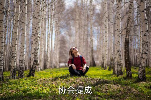 行业协会提成