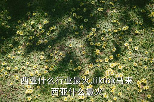 马来西亚什么行业最火,tiktok马来西亚什么最火