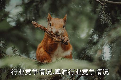 鞋业行业竞争情况,啤酒行业竞争情况