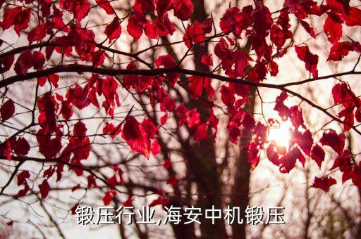 海安锻压行业,海安中机锻压