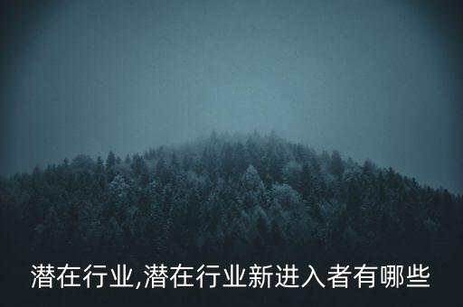 四川潜在行业,潜在行业新进入者有哪些