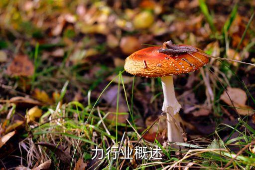 亚克力行业概述