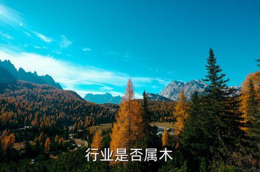 桥梁行业是否属木