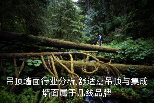 集成吊顶墙面行业分析,舒适嘉吊顶与集成墙面属于几线品牌
