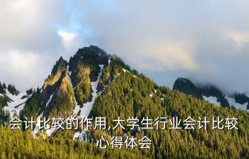行业会计比较的作用,大学生行业会计比较心得体会