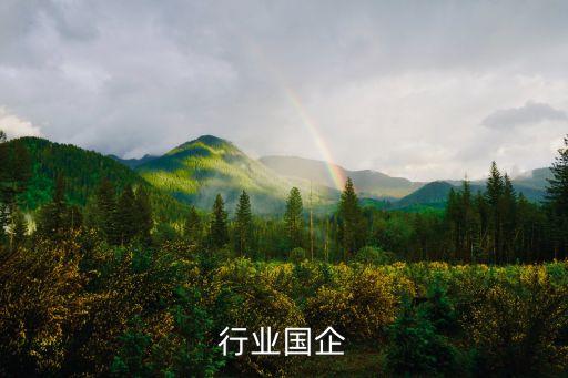 纺织行业国企