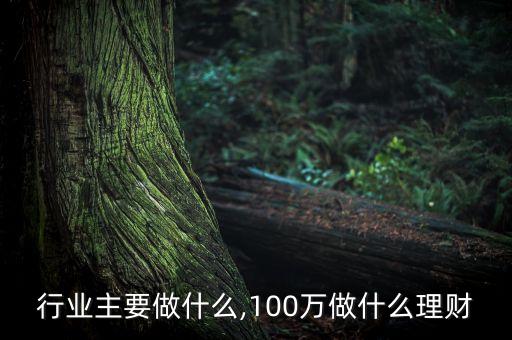 理财行业主要做什么,100万做什么理财