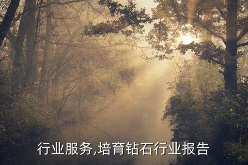 钻石行业服务,培育钻石行业报告