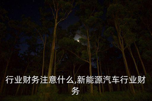 汽车行业财务注意什么,新能源汽车行业财务