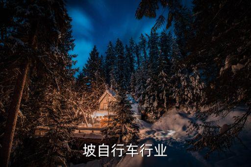 新加坡自行车行业