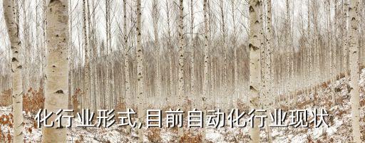 自动化行业形式,目前自动化行业现状
