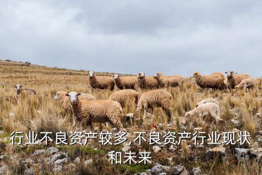 哪些行业不良资产较多,不良资产行业现状和未来