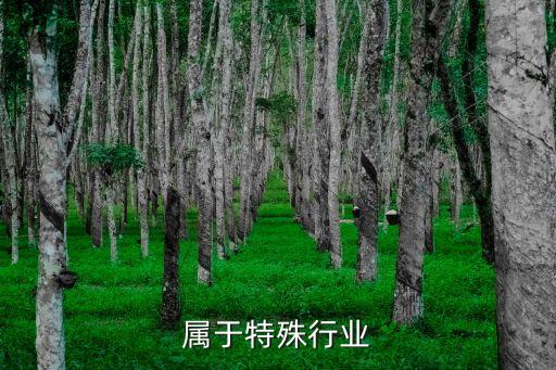眼镜属于特殊行业
