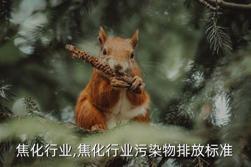 全国焦化行业,焦化行业污染物排放标准
