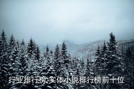 实体行业排行榜,实体小说排行榜前十位