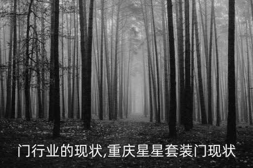 套装门行业的现状,重庆星星套装门现状