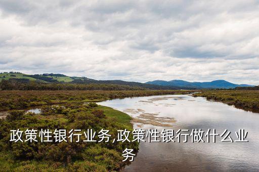 代理政策性银行业务,政策性银行做什么业务