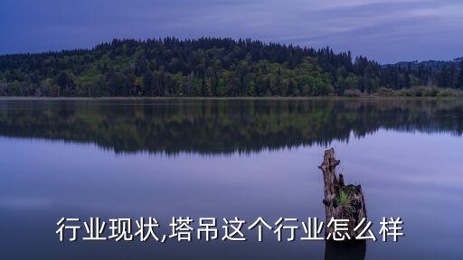 塔吊行业现状,塔吊这个行业怎么样