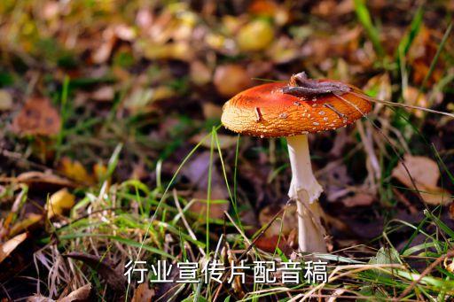 饲料行业宣传片配音稿